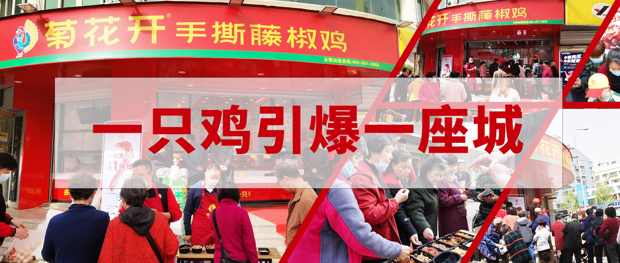 重磅！菊花开强势入驻济南，四店同开！