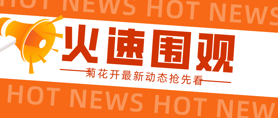火爆！菊花开16店同开，串联华中！